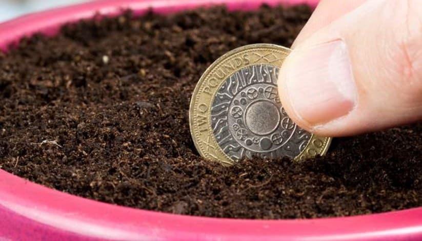 News_plantingcoininsoil