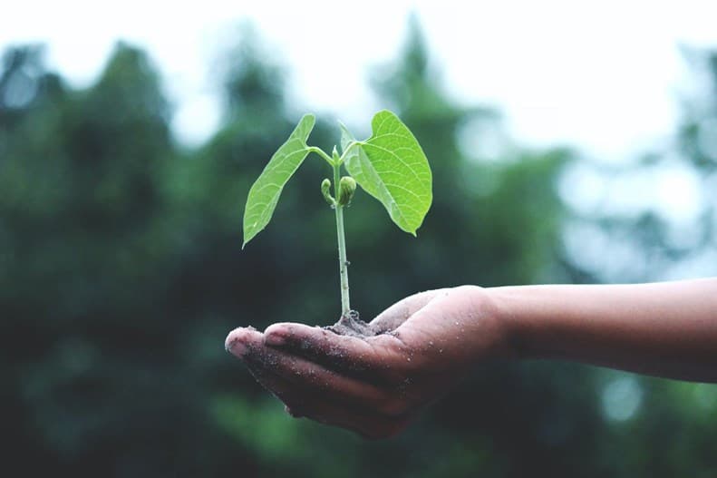 News_NEW: Guide to help insurers and long-term