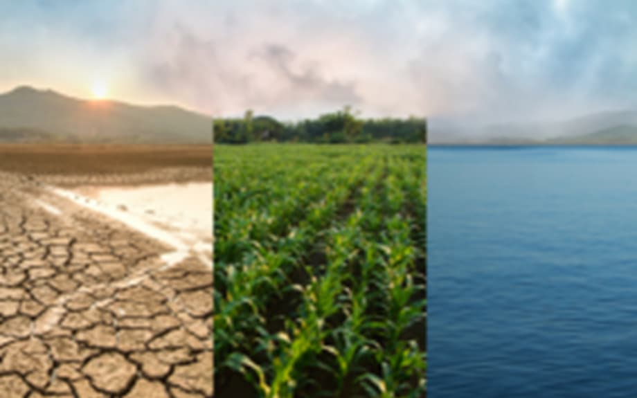 News_Guest Blog: Insurance Climate Transition