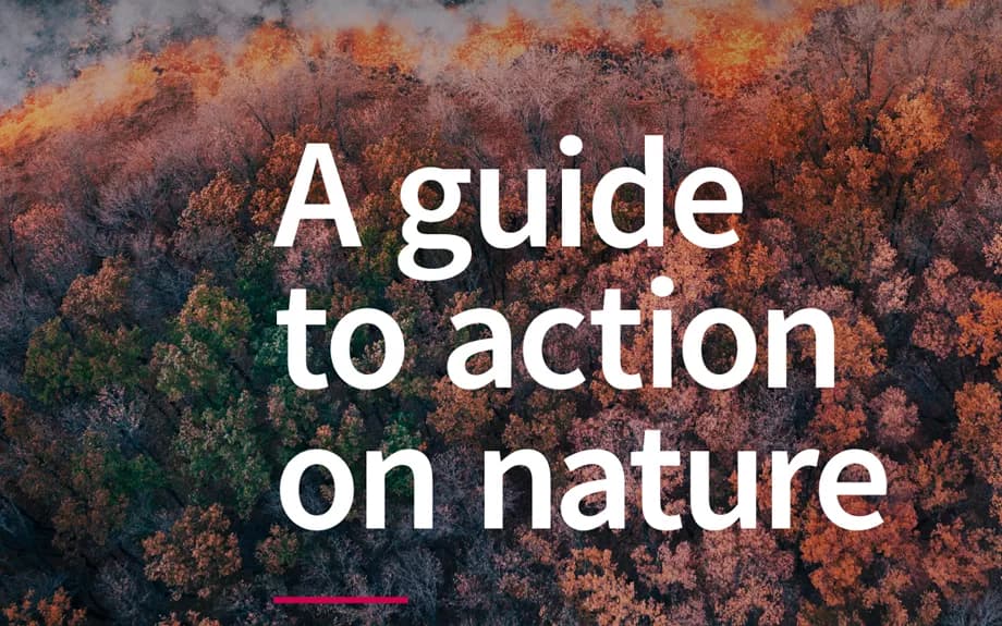 News_Launch of the ABI Guide to Action on Nature