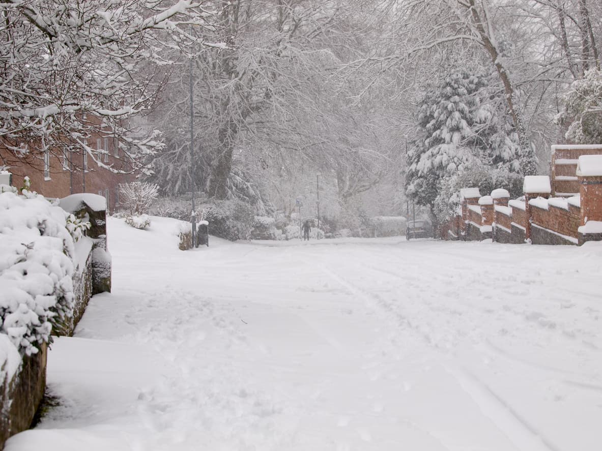 Snowy Street