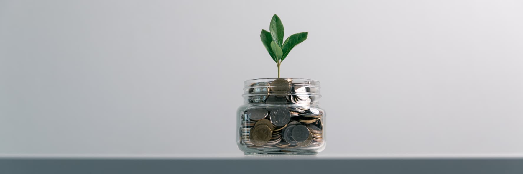 PlantGrowingCoins