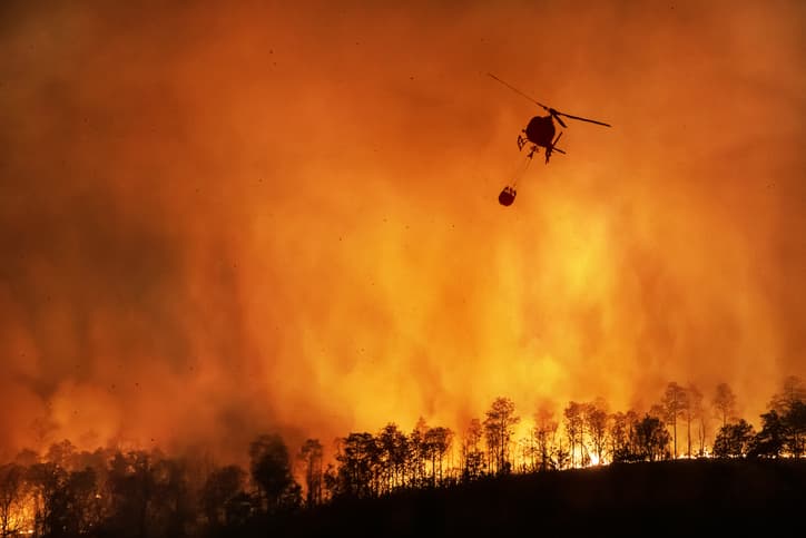 The ABI shares advice following recent wildfires across the UK